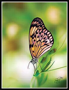 BUTTERFLY TIPTOE