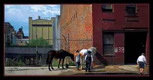 BACKSIDE OF NEW YORK