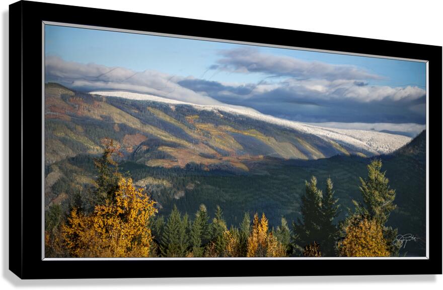 SIGNS OF WINTER ARRIVING Canvas Print