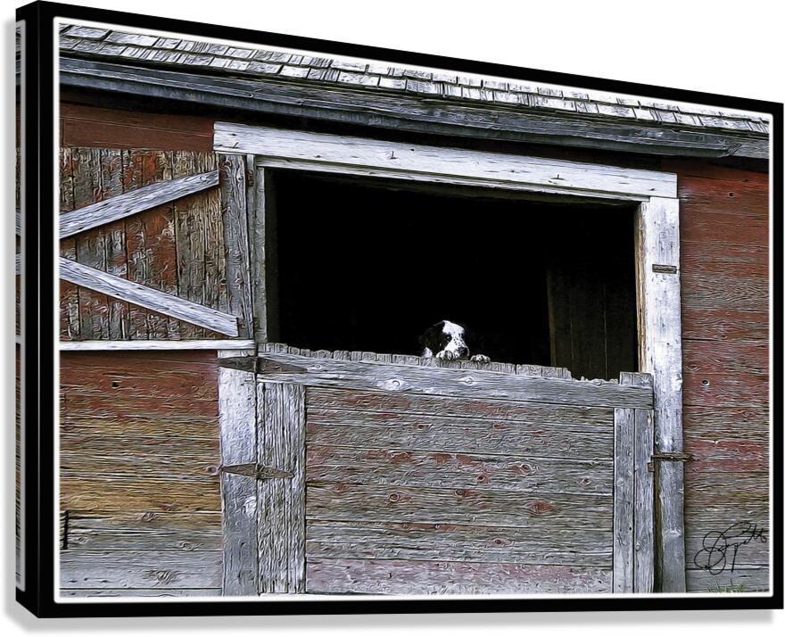 CAN I COME TOO PLEASE Canvas Print