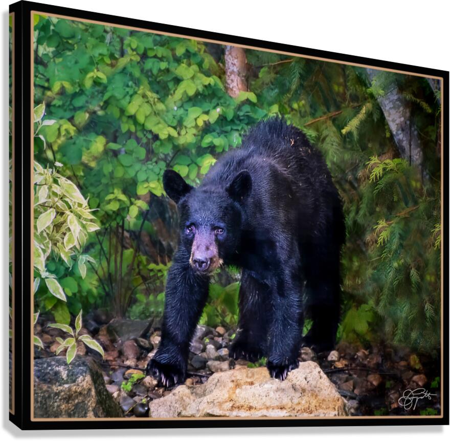 WINTER SLEEP ALL OVER Canvas Print