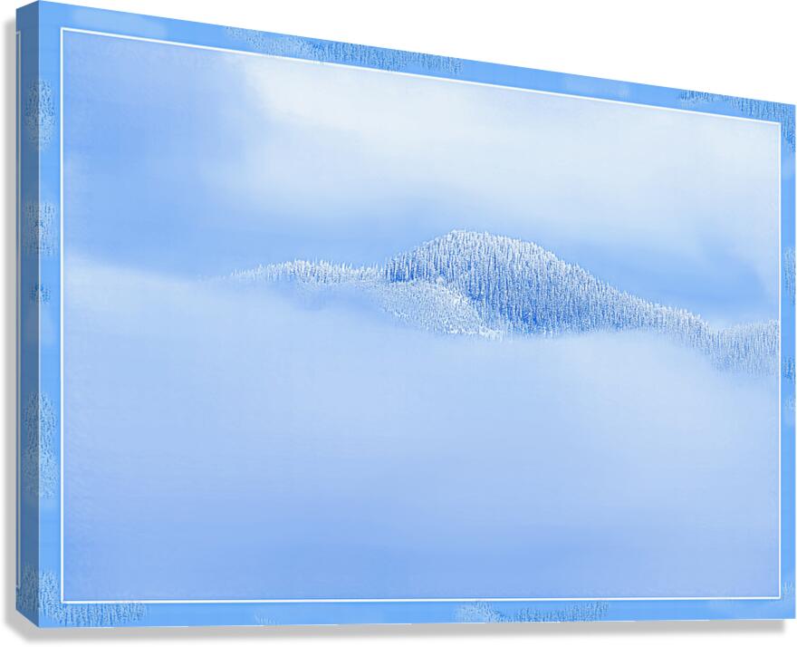 BIRTH OF A FOREST Canvas Print