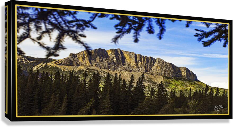 YAMNUSKA MOUNTAIN NEAR BANFF DRIVE BY Canvas Print