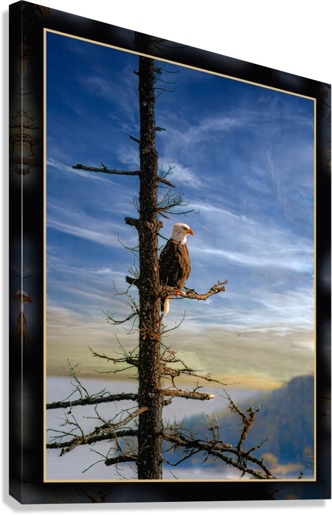 BALD EAGLE ON COPPER ISLAND Canvas Print