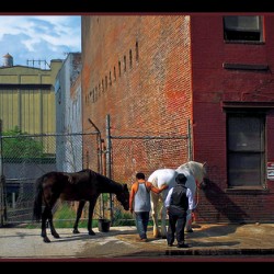 BACKSIDE OF NEW YORK