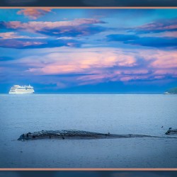 NOVA SCOTIA CRUISING