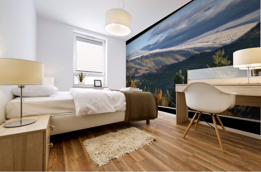 SIGNS OF WINTER ARRIVING Mural print