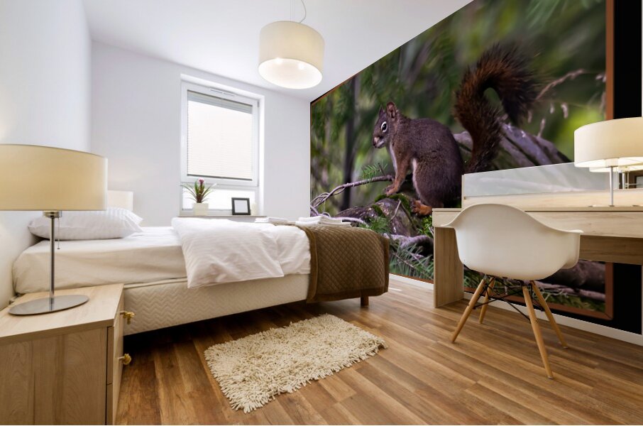 RED SQUIRREL POSING Mural print