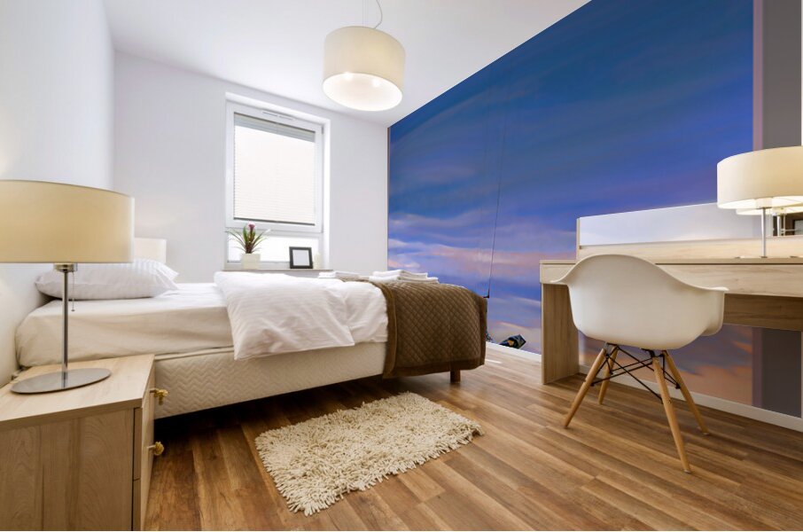 UP UP AND AWAY Mural print