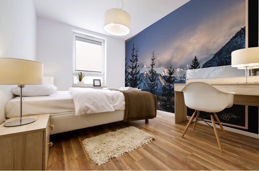 A WINTER SCENE IN THE ROCKIES Mural print