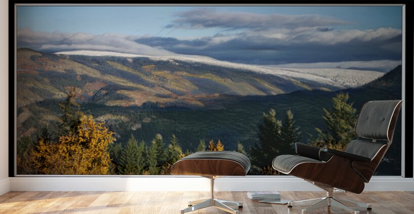 SIGNS OF WINTER ARRIVING Wall Murals