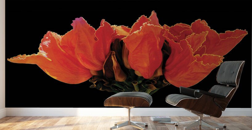 AFRICAN TULIPS 2 Wall Murals