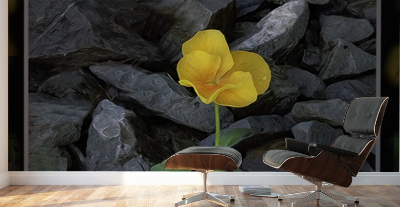 SOFT STRONG POPS UP TOO Wall Murals