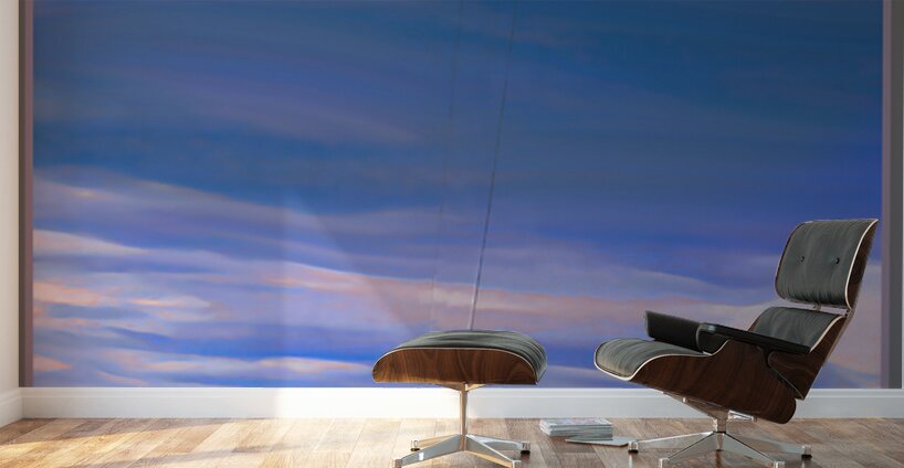 UP UP AND AWAY Wall Murals