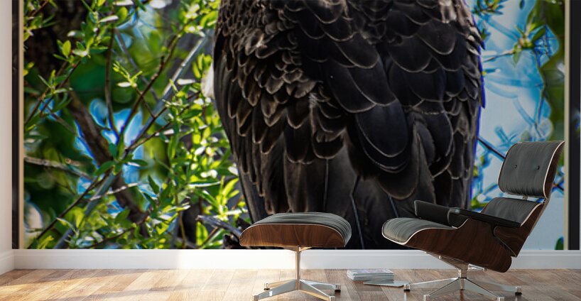 BALD EAGLE EYEING THE KAYAK Wall Murals