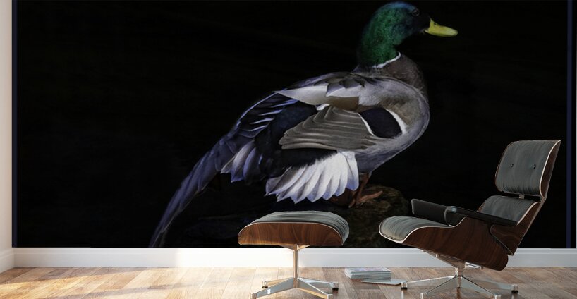 DRAKE MY FRIEND Wall Murals