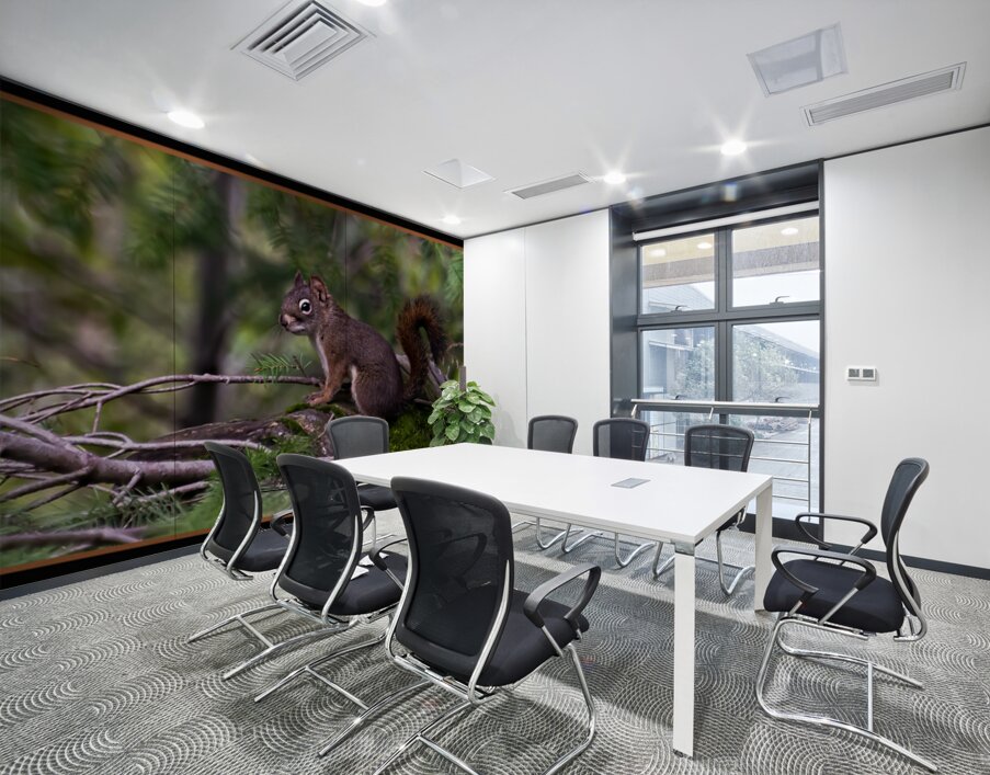 RED SQUIRREL POSING Wall Printing