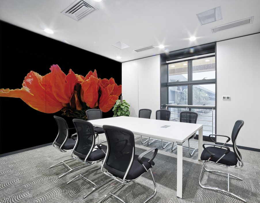 AFRICAN TULIPS 2 Wall Printing