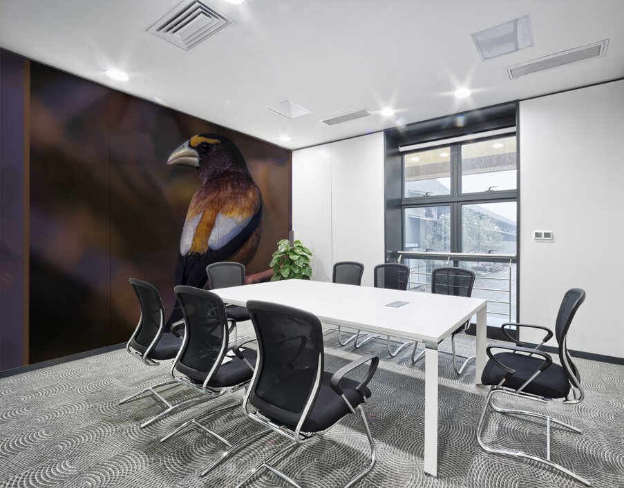 EVENING GROSBEAK PONDERING Wall Printing