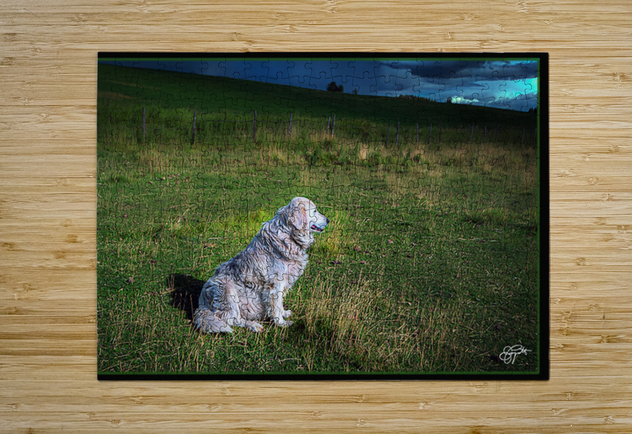 ELDER SHEEP DOG Jerre Paquette Puzzle printing