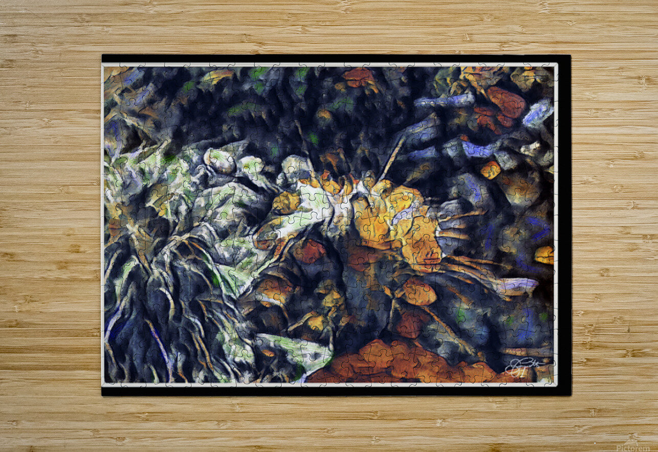 POND REFLECTIONS Abstract Jerre Paquette Puzzle printing