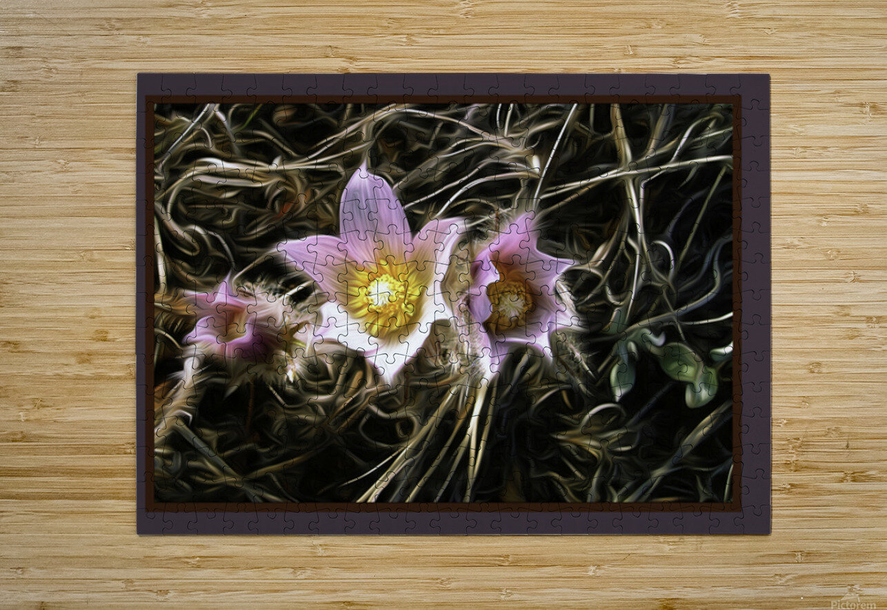 Riverside Crocuses Jerre Paquette Puzzle printing