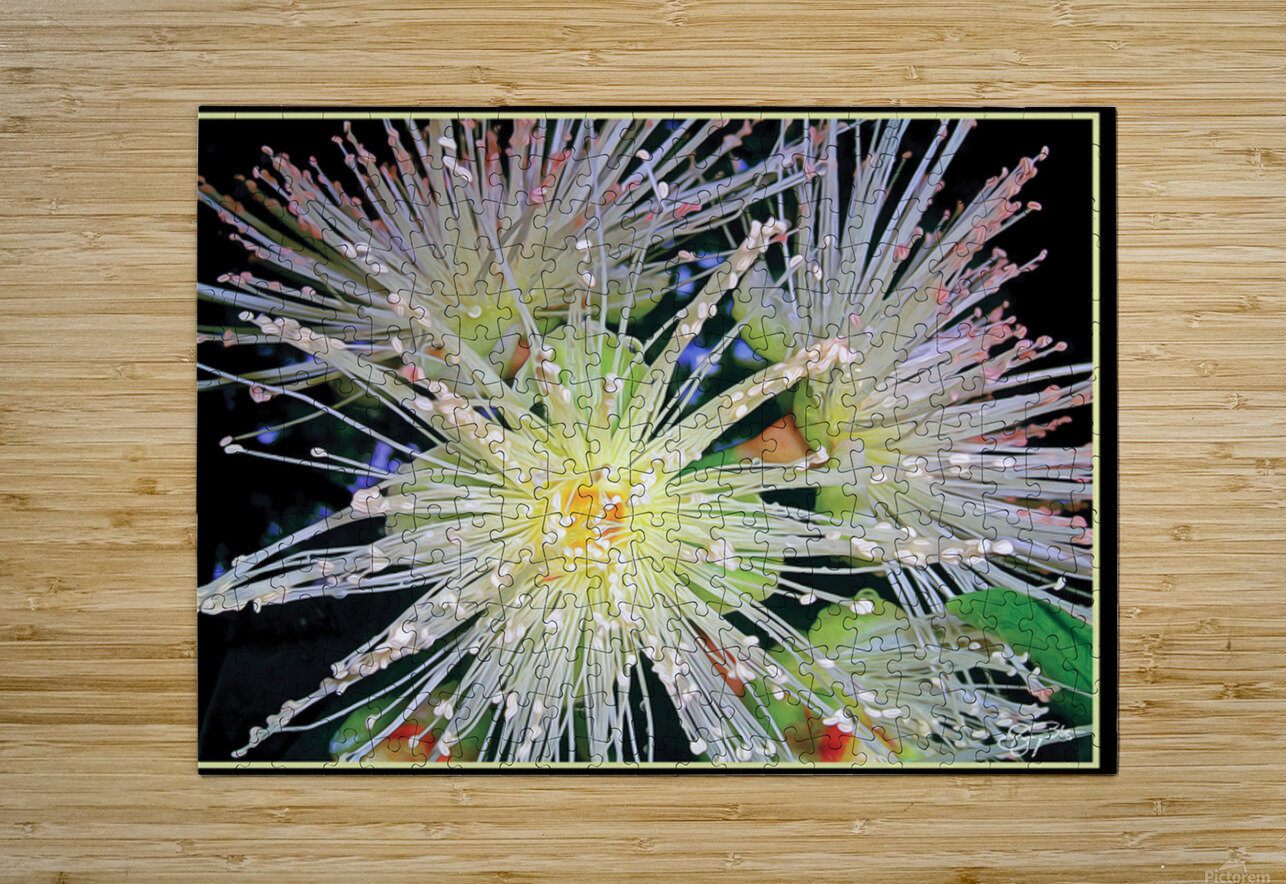 GUAVA BLOSSOMS Jerre Paquette Puzzle printing