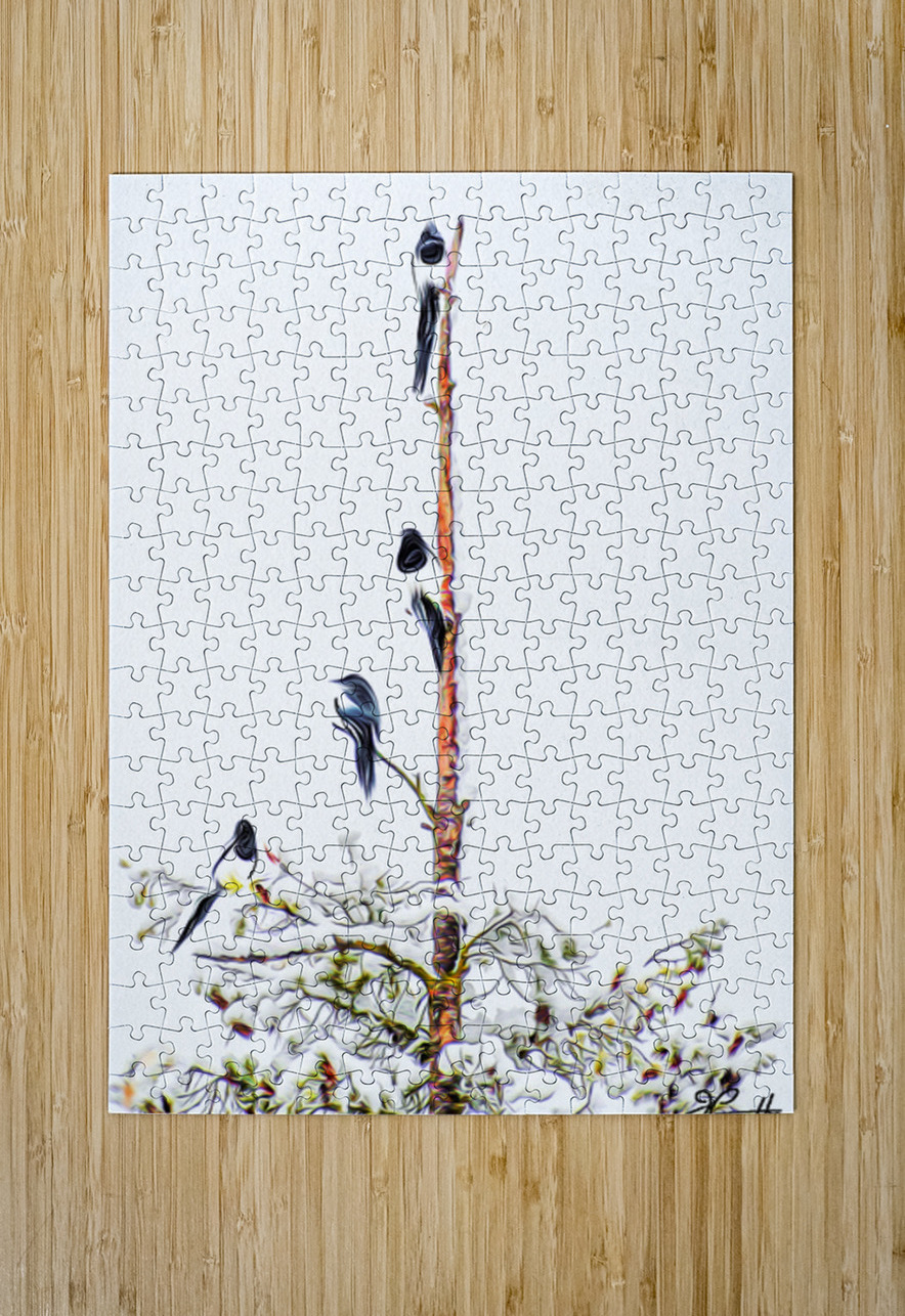 MAGPIE CONVENTION 2 IN MEETING Jerre Paquette Puzzle printing