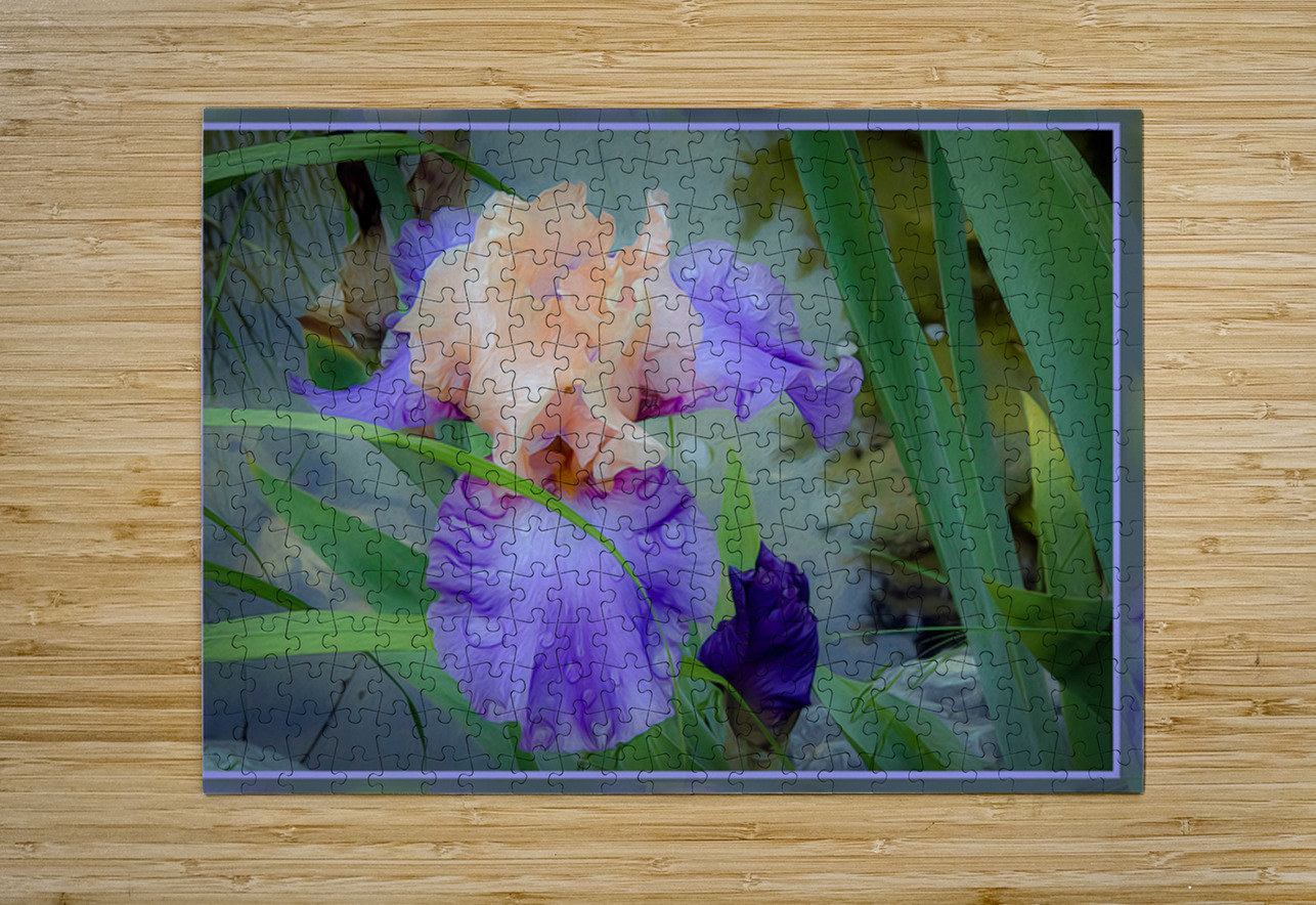 LIGHT PURPLE ORANGE IRIS Jerre Paquette Puzzle printing