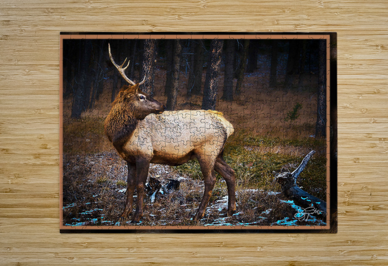 ELK WARY Jerre Paquette Puzzle printing