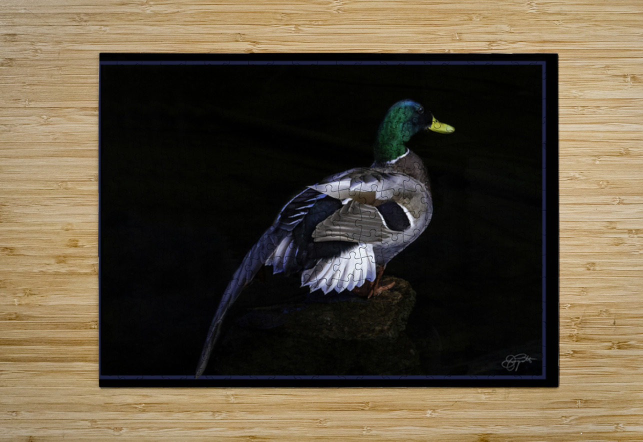 DRAKE MY FRIEND Jerre Paquette Puzzle printing