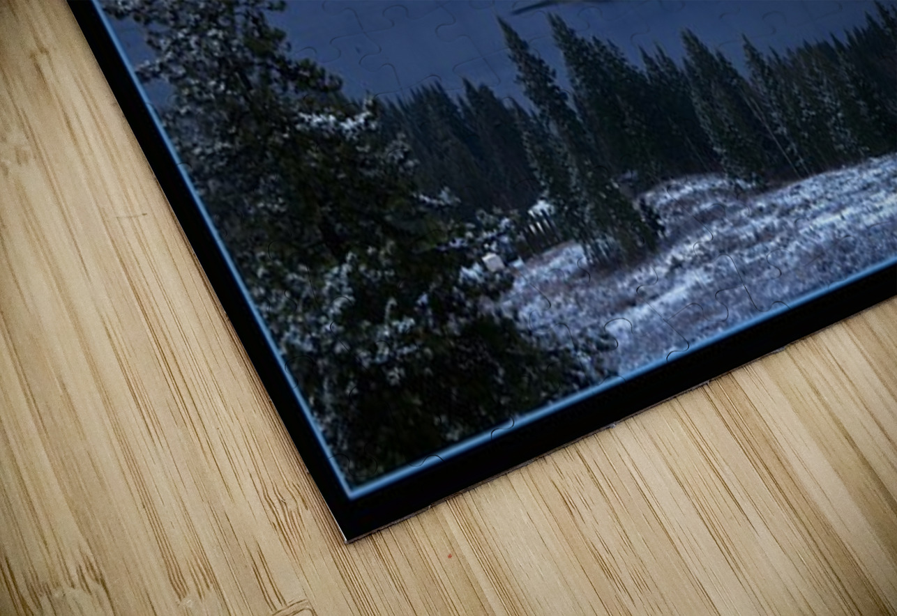 A WINTERY DAY Jerre Paquette Puzzle