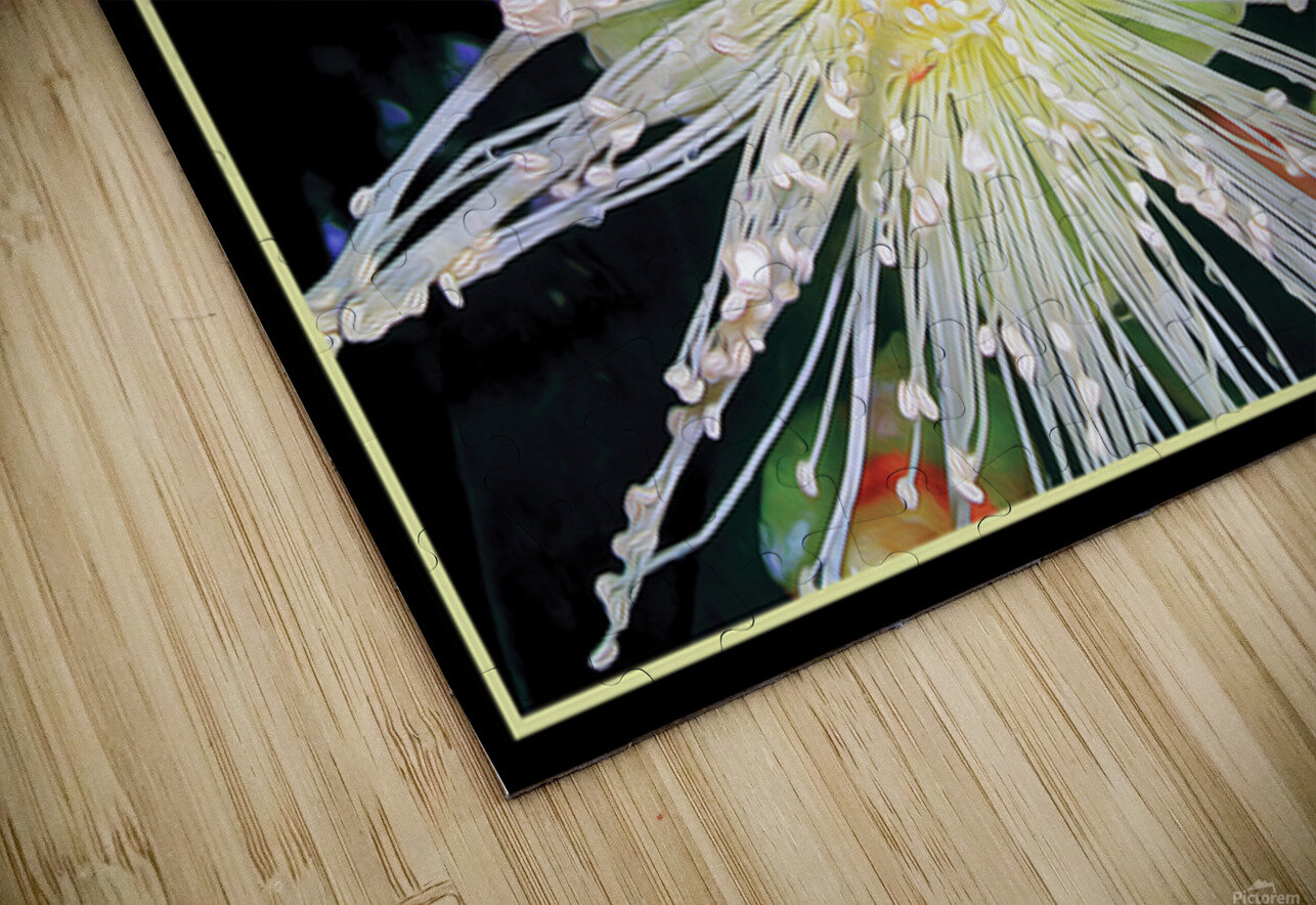 GUAVA BLOSSOMS Jerre Paquette Puzzle