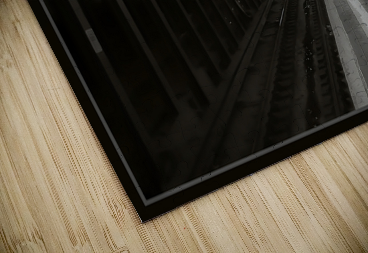 ALONE NO TRAINS RUNNING Jerre Paquette Puzzle