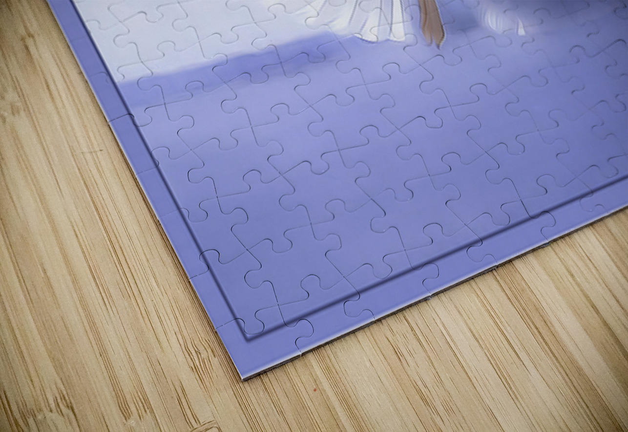 JONATHAN LIVINGSTON SEAGULL Jerre Paquette Puzzle