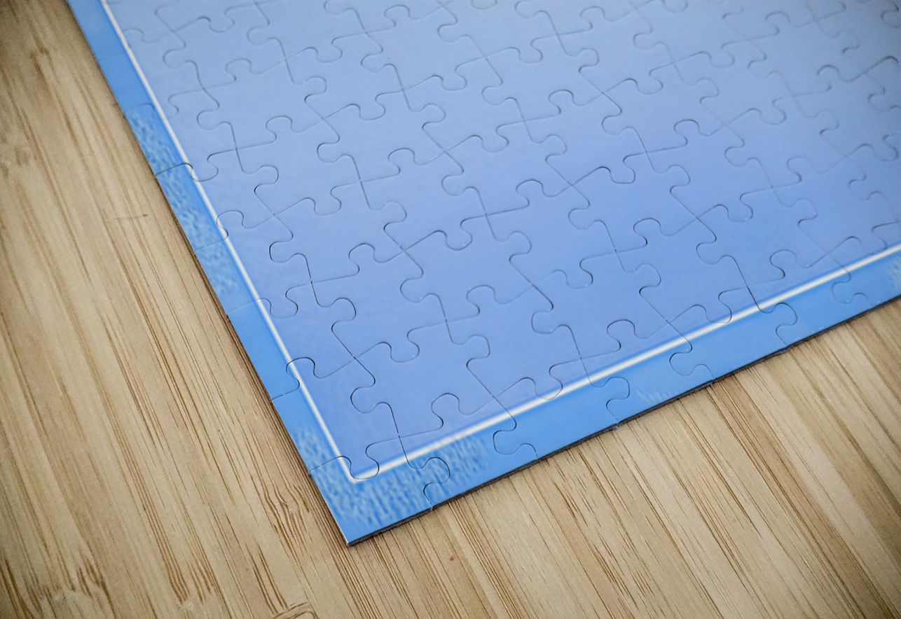 BIRTH OF A FOREST Jerre Paquette Puzzle