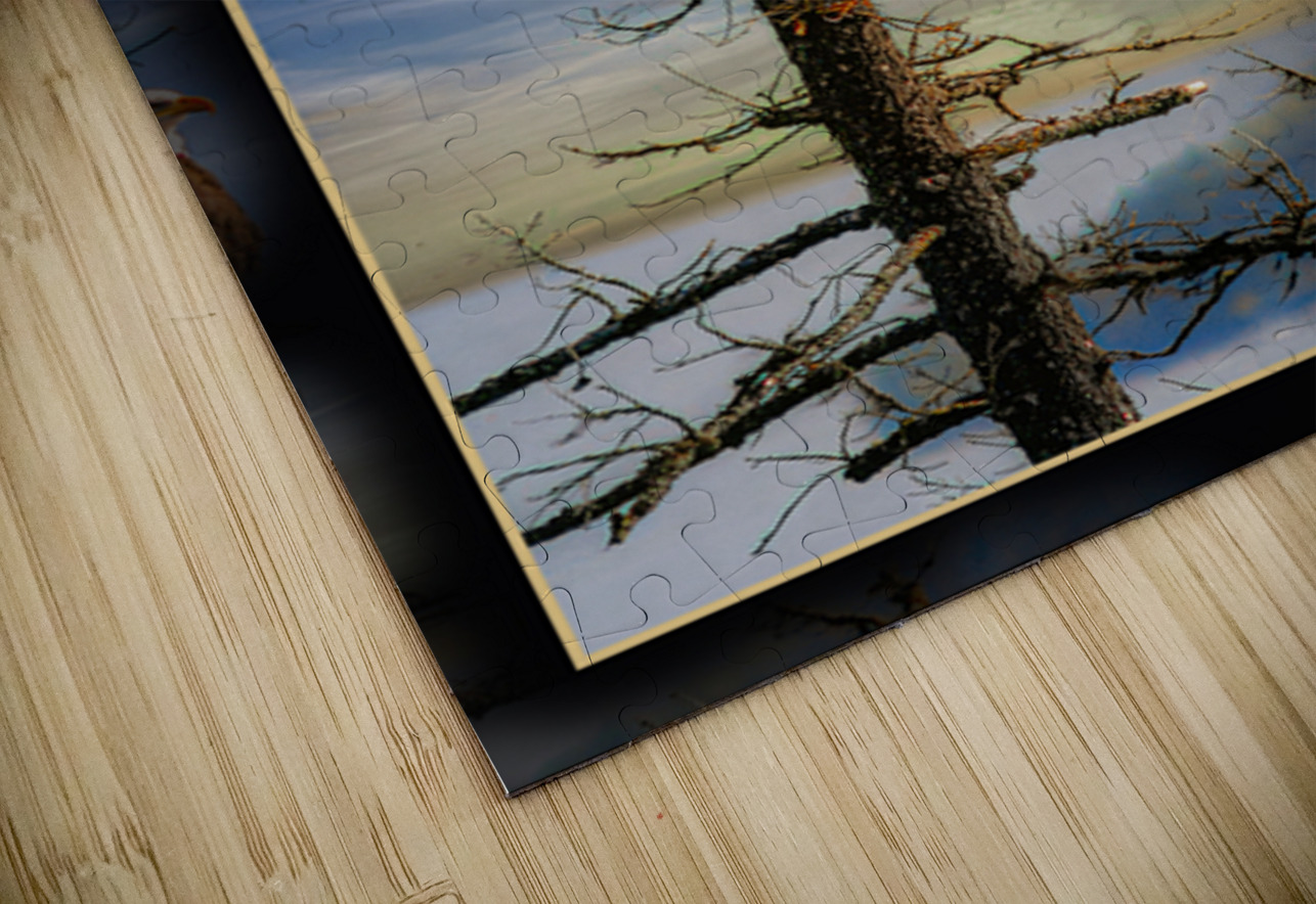 BALD EAGLE ON COPPER ISLAND Jerre Paquette Puzzle