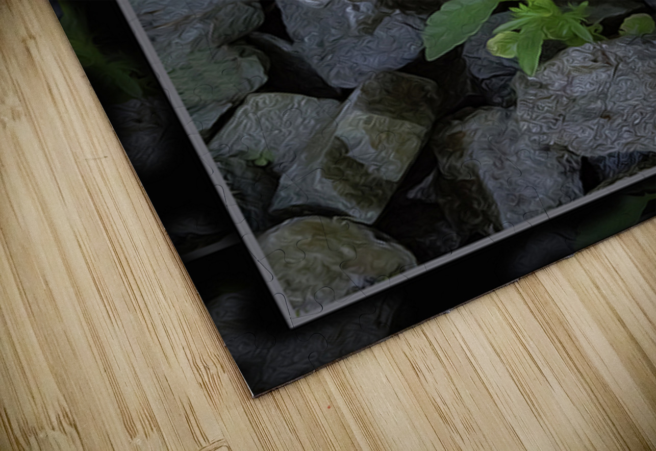 SOFT STRONG POPS UP TOO Jerre Paquette Puzzle