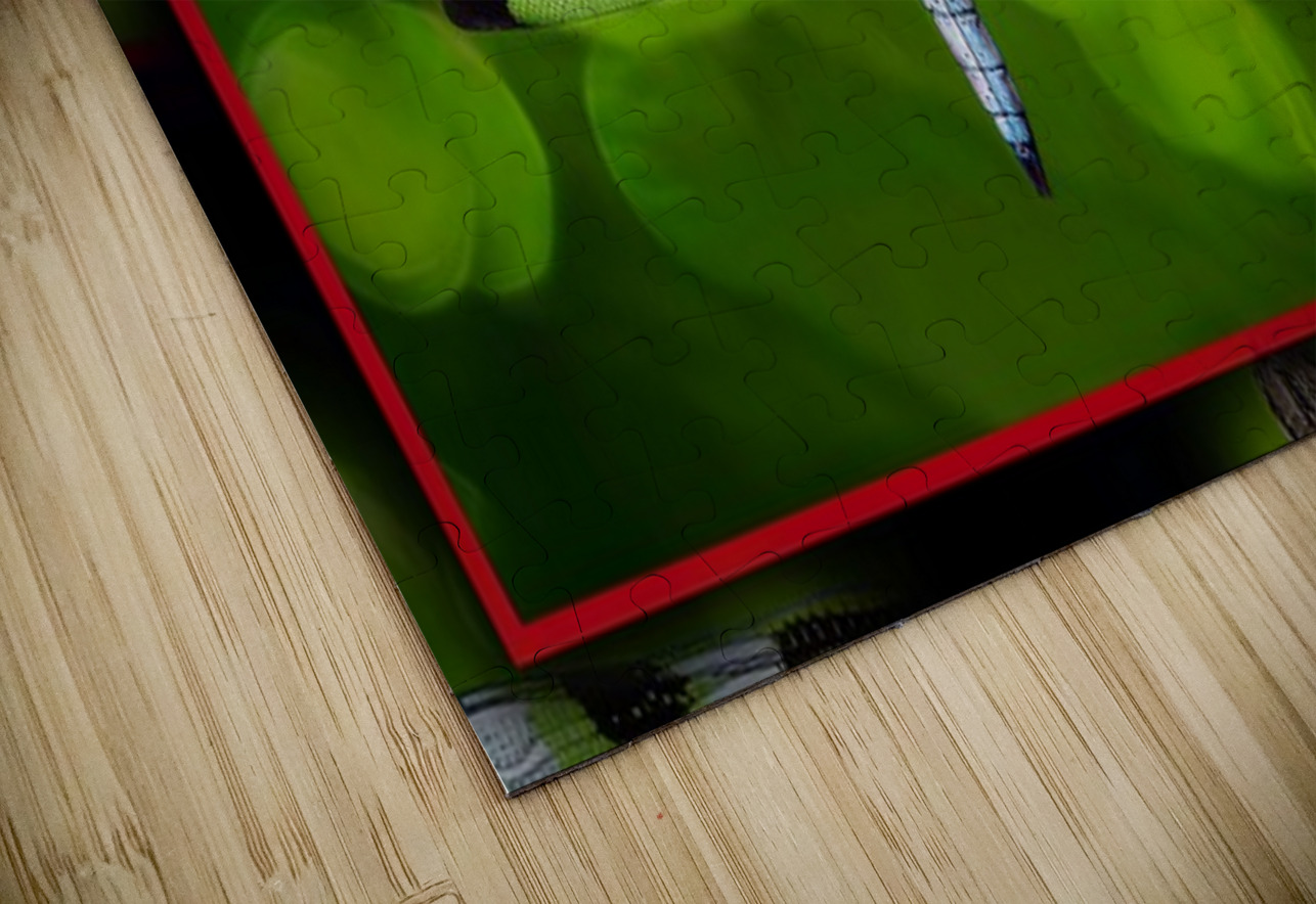 BLACK WHITE DRAGONFLY Jerre Paquette Puzzle