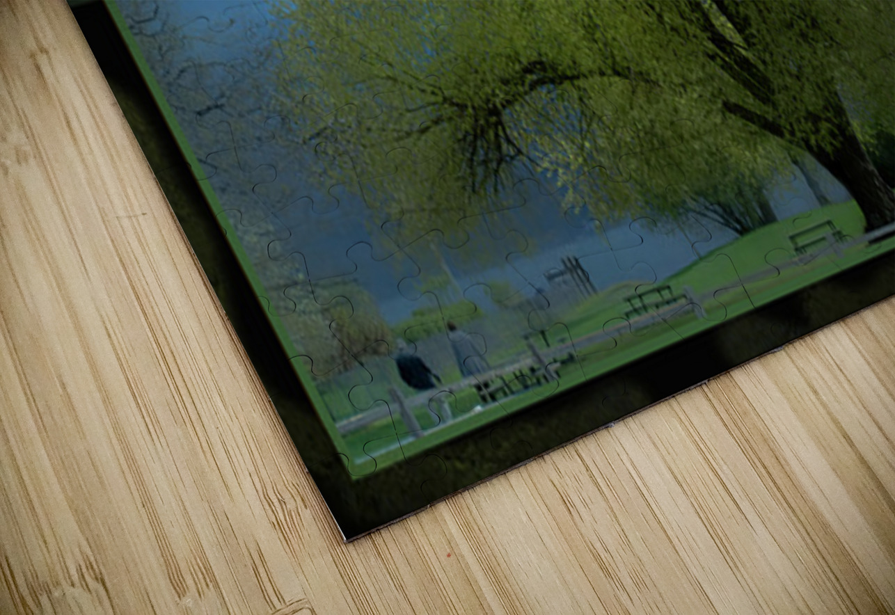 Cottonwood Poplar Jerre Paquette Puzzle